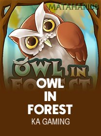 OwlIn Forest